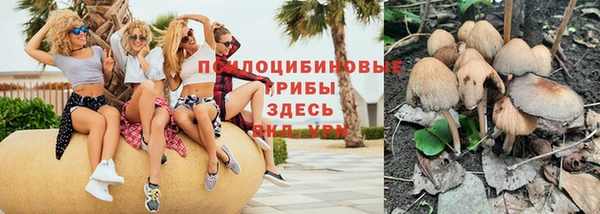 прущие крисы Алексеевка