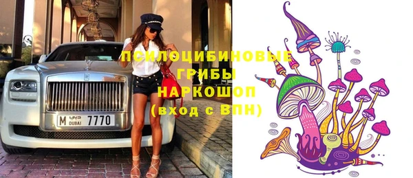 тгк Алзамай
