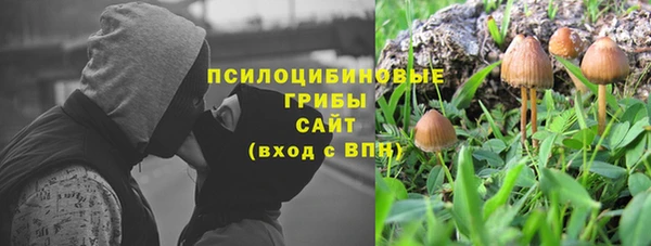 ГАЛЛЮЦИНОГЕННЫЕ ГРИБЫ Осташков