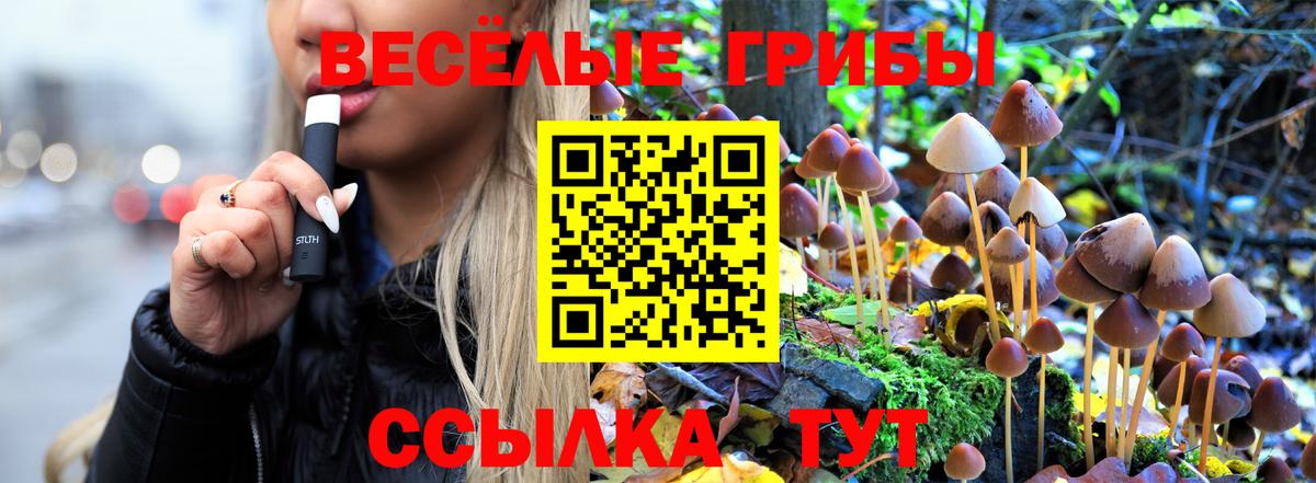 Псилоцибиновые грибы MAGIC MUSHROOMS Павлово