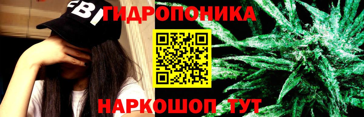 Конопля план  Бошки Шишки Ganja  Павлово  Вход с VPN 